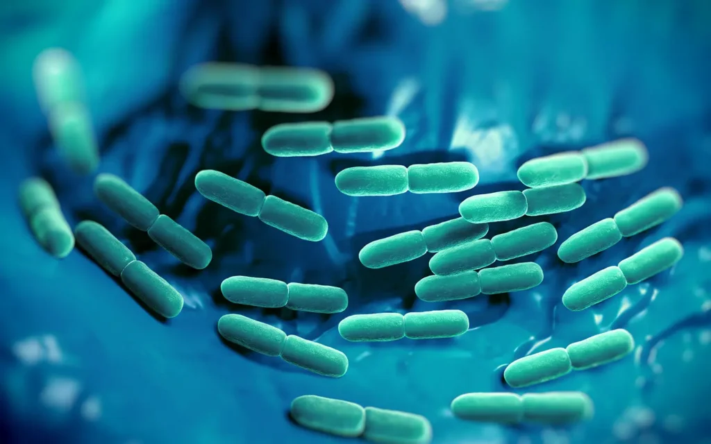 Pieno rūgšties bakterijos – mažos, bet svarbios sveikatai